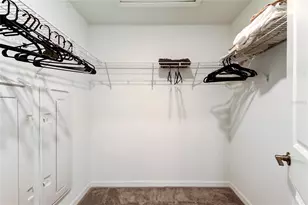 17567 Nectar Flume Dr, Land O Lakes, FL 34638 - Photo 33