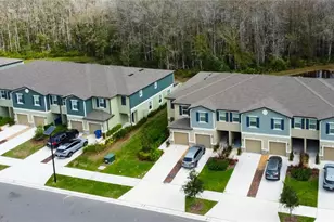 17567 Nectar Flume Dr, Land O Lakes, FL 34638 - Photo 59