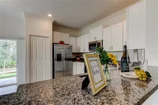 17567 Nectar Flume Dr, Land O Lakes, FL 34638 - Photo 11