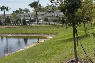 17567 Nectar Flume Dr, Land O Lakes, FL 34638 - Photo 81