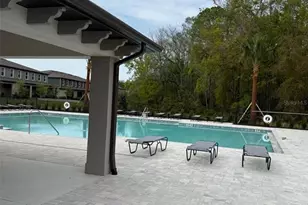 17567 Nectar Flume Dr, Land O Lakes, FL 34638 - Photo 79