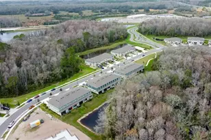 17567 Nectar Flume Dr, Land O Lakes, FL 34638 - Photo 67