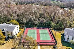 1398 Shady Pine Way, Tarpon Springs, FL 34688 - Photo 23