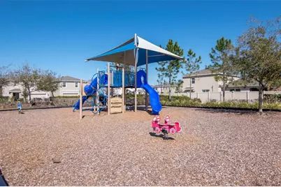 [Address not provided], Odessa, FL 33556 - Photo 19