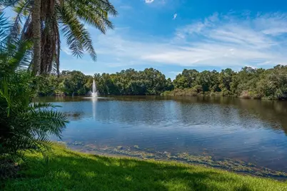 2702 14th Court, Palm Harbor, FL 34684 - Photo 37