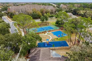 9309 Rockrose Dr, Tampa, FL 33647 - Photo 45