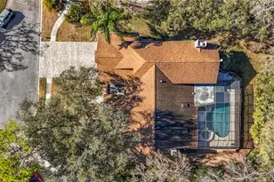 50 Willowood Ln, Oldsmar, FL 34677 - Photo 75