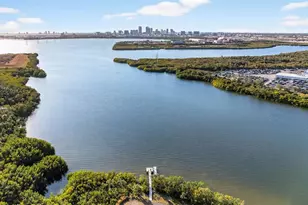 4620 Willet Cooper Ct, Tampa, FL 33619 - Photo 61