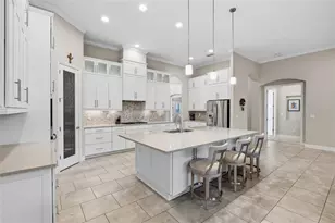 14715 Fishhawk Preserve Dr, Lithia, FL 33547 - Photo 13