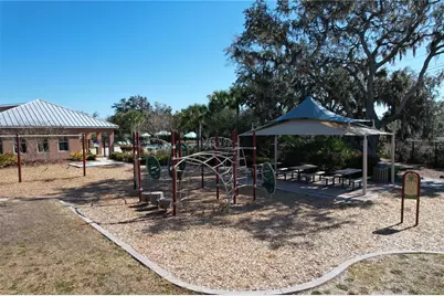 13907 Roseate Tern Lane, Riverview, FL 33579 - Photo 43