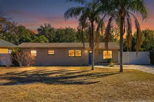 10405 N Woodmere Rd, Tampa, FL 33617 - Photo 1