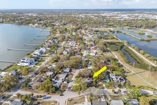 347 Country Club Dr, Oldsmar, FL 34677 - Photo 45