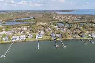 347 Country Club Dr, Oldsmar, FL 34677 - Photo 51
