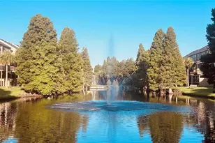 2915 Pointeview, Tampa, FL 33611 - Photo 9