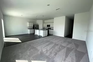 35545 Shade Fern Ln, Zephyrhills, FL 33541 - Photo 9