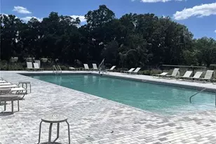 35545 Shade Fern Ln, Zephyrhills, FL 33541 - Photo 29