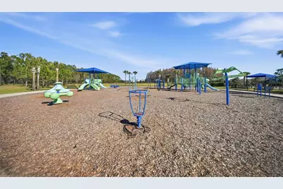 32306 Garden Alcove Loop, Wesley Chapel, FL 33545 - Photo 63