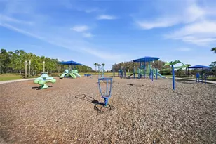 32306 Garden Alcove Loop, Wesley Chapel, FL 33545 - Photo 63