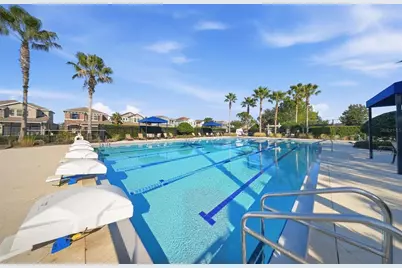 32306 Garden Alcove Loop, Wesley Chapel, FL 33545 - Photo 61