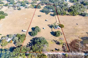 27430 Miller Rd, Dade City, FL 33525 - Photo 3