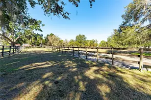 27430 Miller Rd, Dade City, FL 33525 - Photo 21