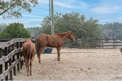 8540 Boyt Road, Zephyrhills, FL 33540 - Photo 35