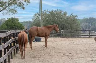 8540 Boyt Rd, Zephyrhills, FL 33540 - Photo 35
