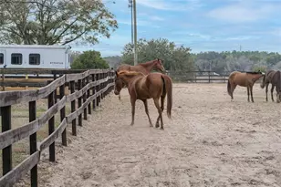 8540 Boyt Rd, Zephyrhills, FL 33540 - Photo 33