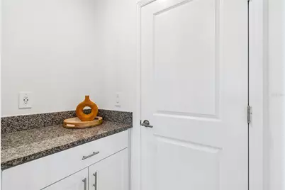 10811 Fowlers Bluff Court, Tampa, FL 33647 - Photo 17