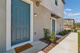 10811 Fowlers Blf Ct, Tampa, FL 33647 - Photo 3