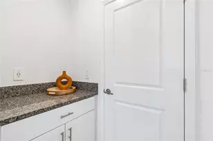 10811 Fowlers Blf Ct, Tampa, FL 33647 - Photo 19