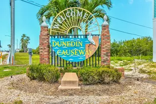 884 Michele Cir, Dunedin, FL 34698 - Photo 51