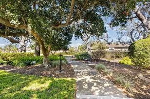 884 Michele Cir, Dunedin, FL 34698 - Photo 43