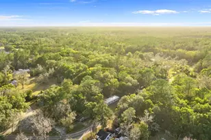 14139 NE 148th Ave, Waldo, FL 32694 - Photo 35