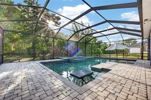 2514 Martucci, Seffner, FL 33584 - Photo 47
