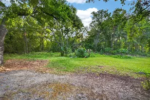 2514 Martucci, Seffner, FL 33584 - Photo 59