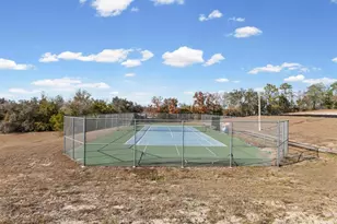 13417 Whitehaven Ct, Spring Hill, FL 34609 - Photo 51