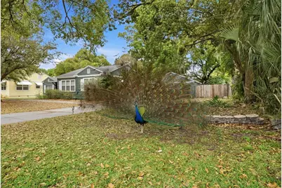 921 Cornelius Avenue, Tampa, FL 33603 - Photo 35