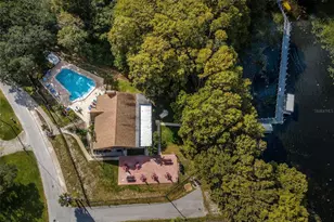 2968 Macalpin Dr N, Palm Harbor, FL 34684 - Photo 69