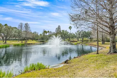 10246 Timberland Point Dr, Tampa, FL 33647 - Photo 39