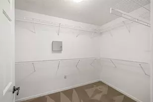 10246 Timberland Point Dr, Tampa, FL 33647 - Photo 17