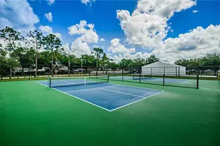 2225 Longmore Cir, Valrico, FL 33596 - Photo 43