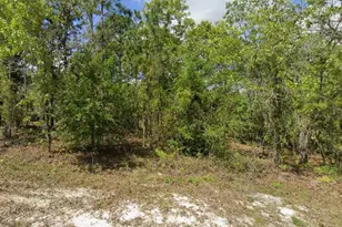 14135 Eastern Phoebe Rd, Brooksville, FL 34614 - Photo 1