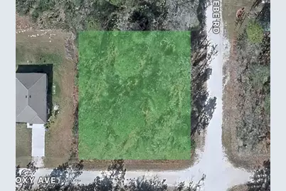 14135 Eastern Phoebe Road, Brooksville, FL 34614 - Photo 1