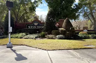 10023 Tate Ln, Tampa, FL 33626 - Photo 47