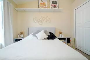 10023 Tate Ln, Tampa, FL 33626 - Photo 35