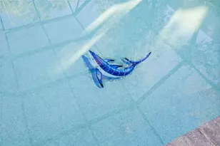 1904 S Hesperides St, Tampa, FL 33629 - Photo 47