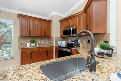 355 12th Avenue N, Safety Harbor, FL 34695 - Photo 15