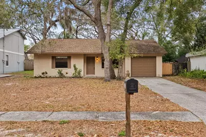 723 Pent Street, Tarpon Springs, FL 34689 - Photo 1