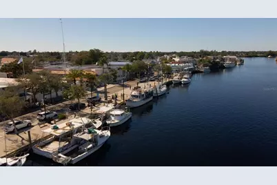 723 Pent Street, Tarpon Springs, FL 34689 - Photo 41